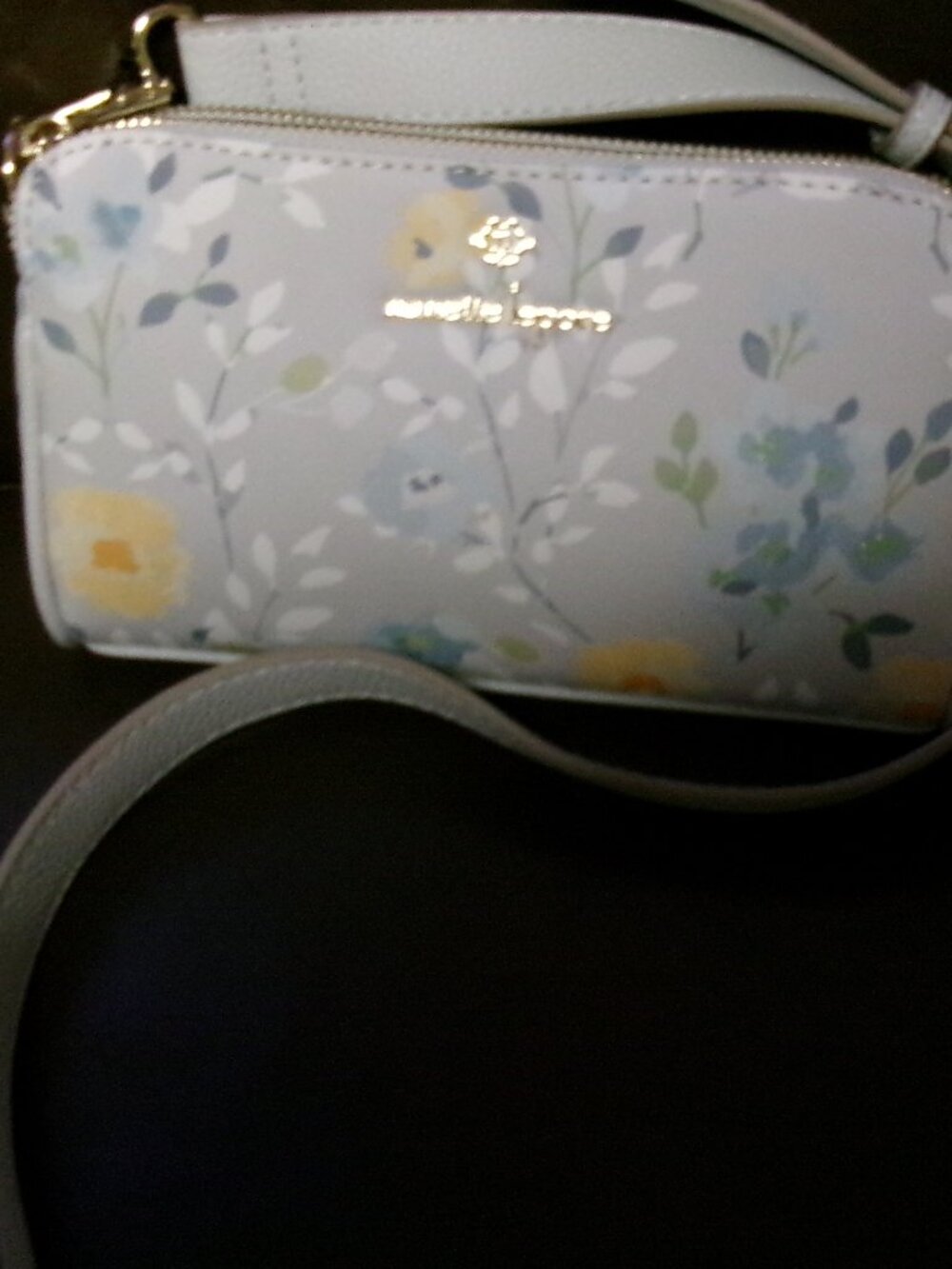 NWT Nanette Lepore Triple Compartment Crossbody Camera Bag - Picture 2 of 16